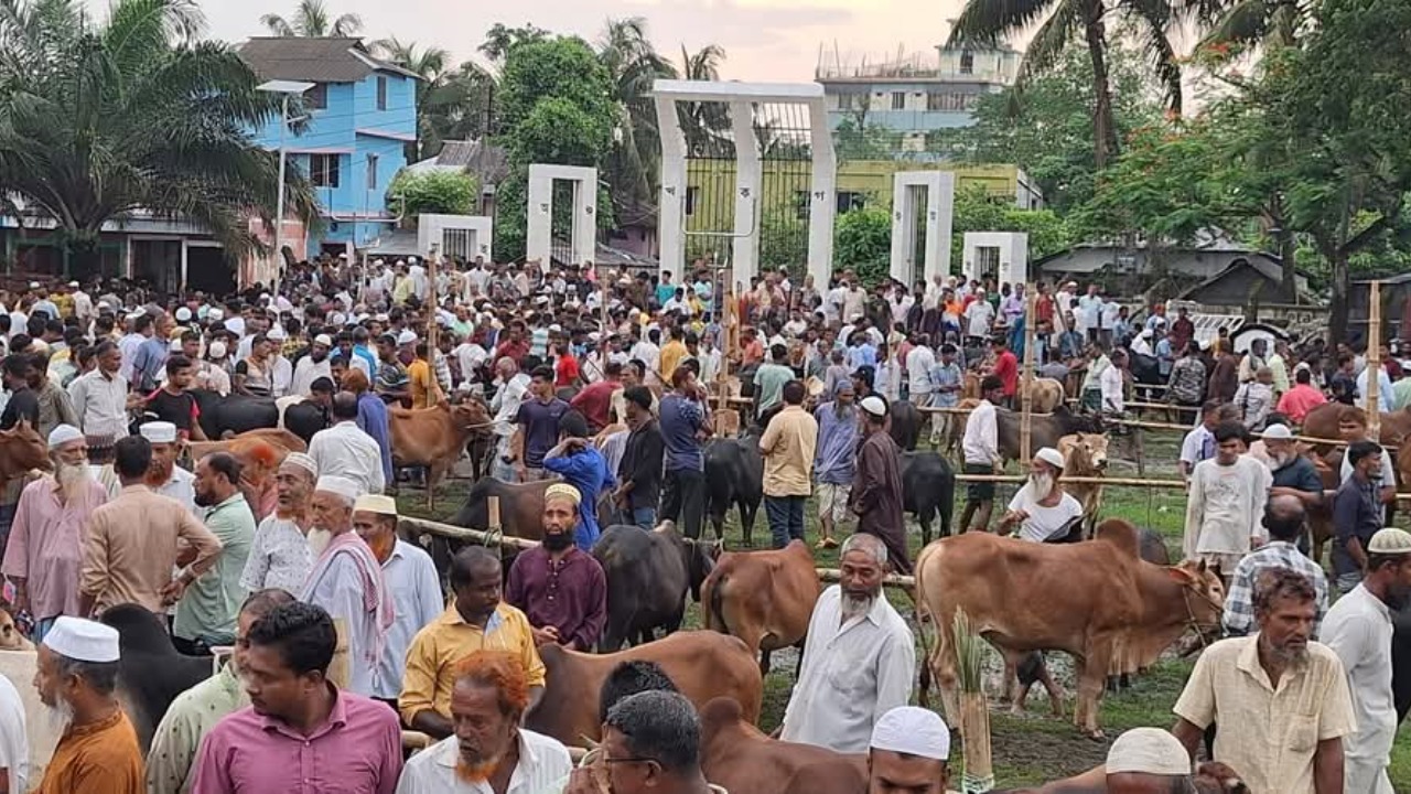 বরগুনা শহীদ মিনারে গরুর হাট বসানোয় ক্ষোভ, প্রশাসনের হস্তক্ষেপে সরানো হলো