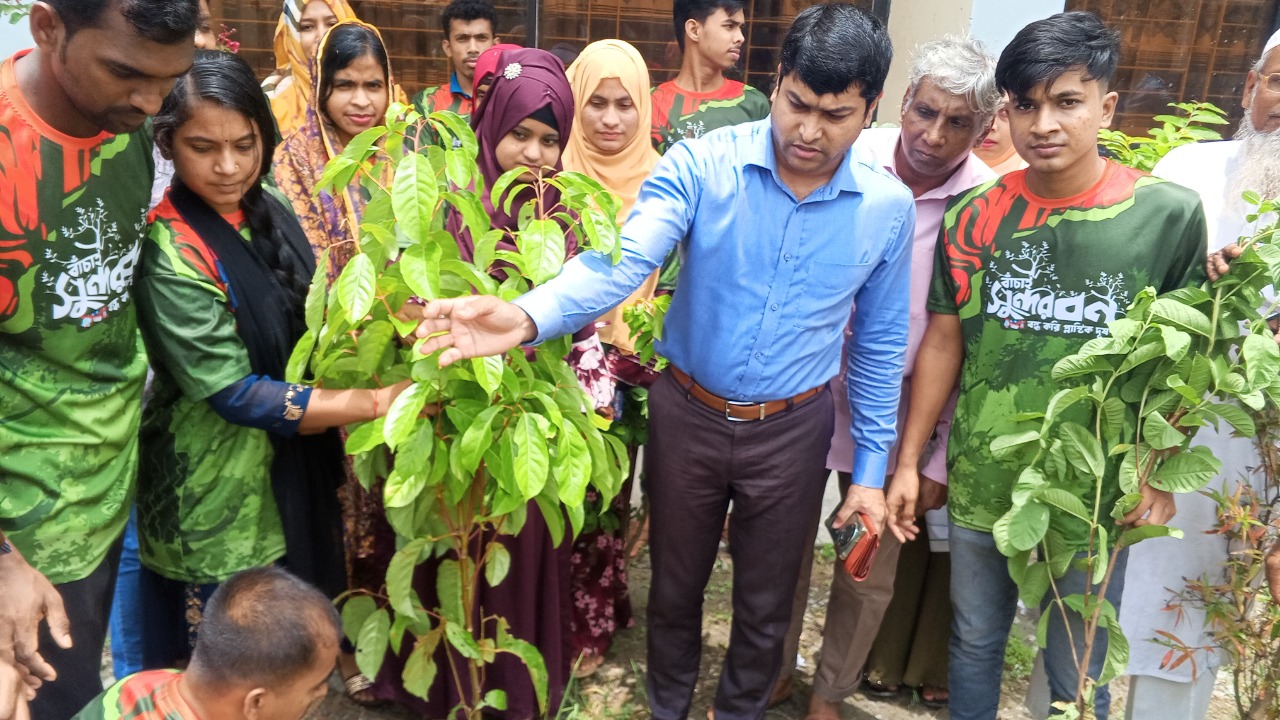 বিশ্ব পরিবেশ দিবস ২০২৫: বরগুনায় পলিথিন ও প্লাস্টিক দূষণবিরোধী র‌্যালি ও গাছ রোপণ