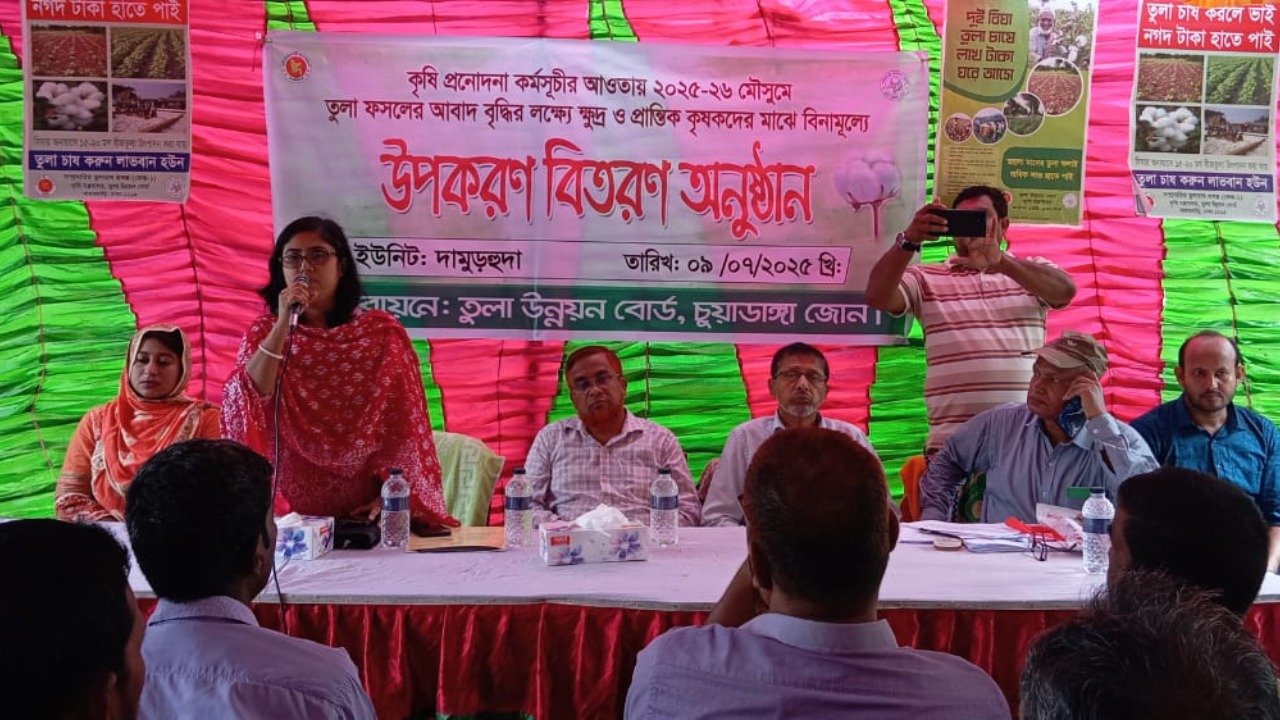দামুড়হুদায় ৫৫০ জন কৃষকের মাঝে তুলা চাষে প্রণোদনার উপকরণ বিতরণ শুরু