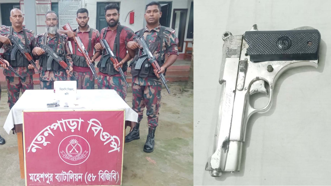 জীবননগর সীমান্তে বিদেশি পিস্তল, ম্যাগাজিন ও গুলি উদ্ধার