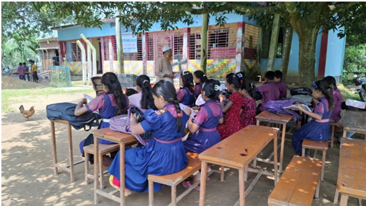 সখীপুরে ঝুঁকিপূর্ণ ভবনে পাঠদান বন্ধ, গাছতলায় চলছে ক্লাস — আতঙ্কে শিক্ষার্থী ও অভিভাবকরা